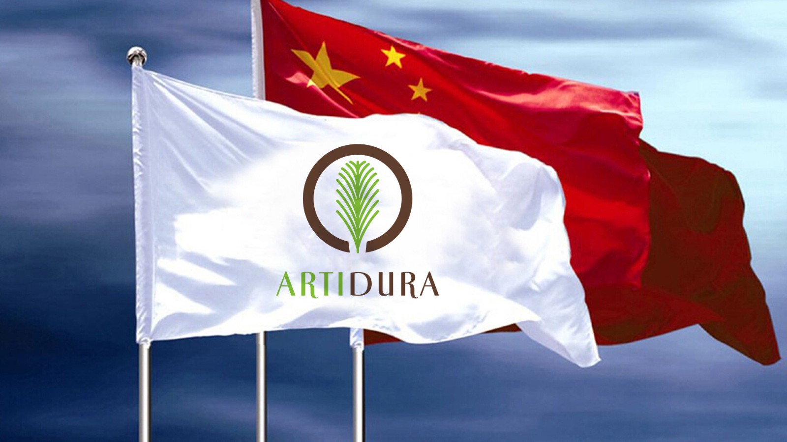 紅(hóng)杉醫(yī)療科(kē)技(jì)公司LOGO設計(jì)