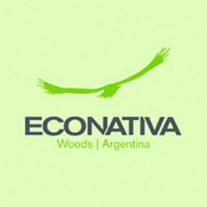 老(lǎo)鷹LOGO設計(jì)