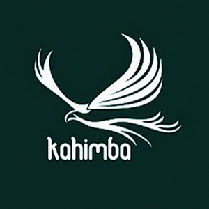 老(lǎo)鷹LOGO設計(jì)