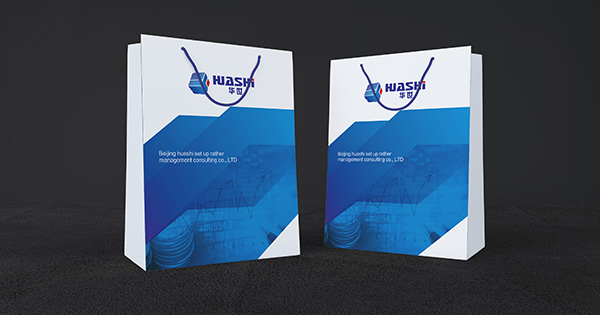 北(běi)京華世企業(yè)咨詢管理(lǐ)有(yǒu)限公司LOGO設計(jì)