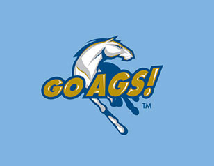 GOAGS馬戲團LOGO設計(jì)